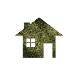 Green house icon