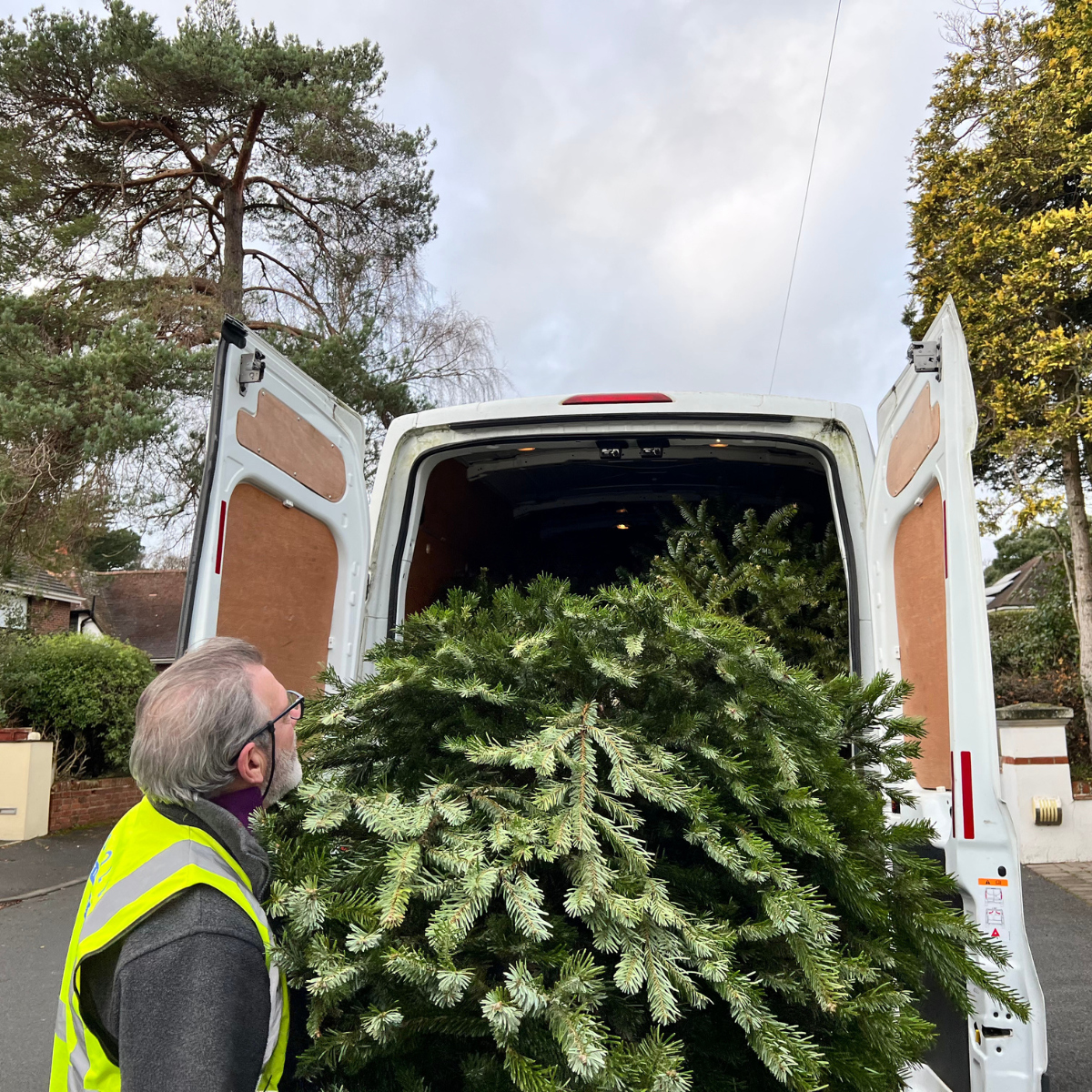 Lewis-Manning-Christmas-Tree-Collection
